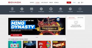 Article page for casino information you need