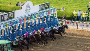how to bet on horse racing in Virginia