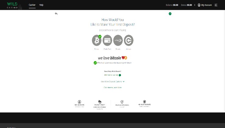 Wild Casino - cashier page casino deposits