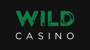Wild casino en línea