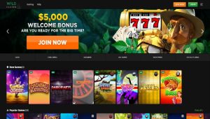 The homepage of the Wild Casino site, promoting its welcome bonus