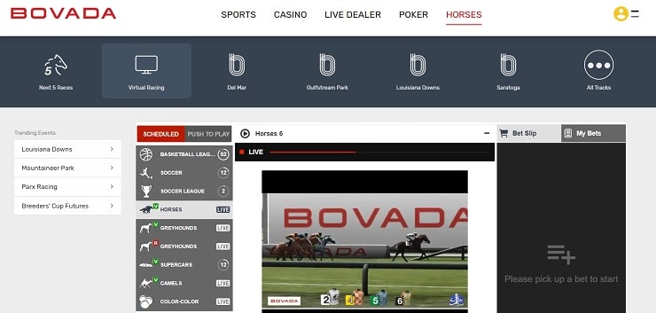 Bovada Virtual Horse Racing