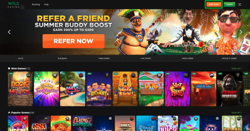 Easy Steps To Tips for Playing Multi-Player Slots with Bonus Features at BC Game Of Your Dreams