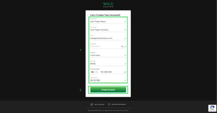 Register at Wild Casino Step 2