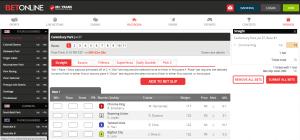 BetOnline Georgia horse racing submit bet