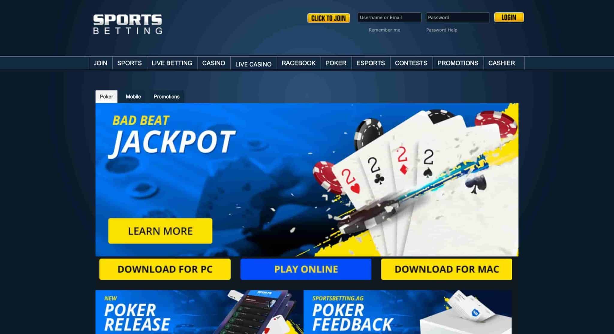 online-poker-in-new-york-hooplayonline