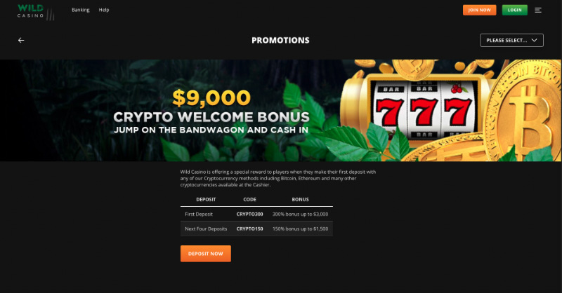 Wild Casino Bitcoin Bonus