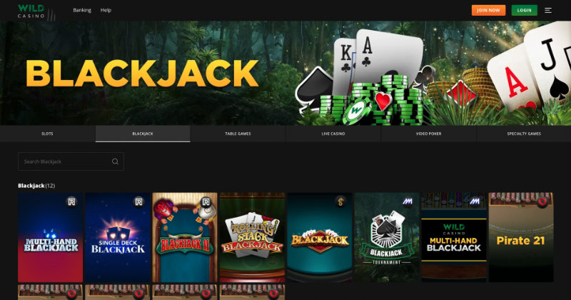 Wild Casino Homepage