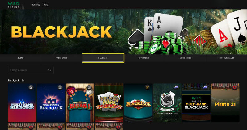 Wild Casino Blackjack