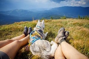 mountain hike with dog