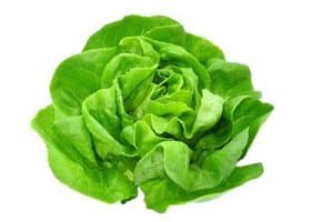 lettuce greens salad health food