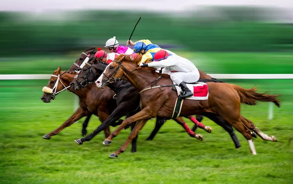 georgia horse racing betting sites