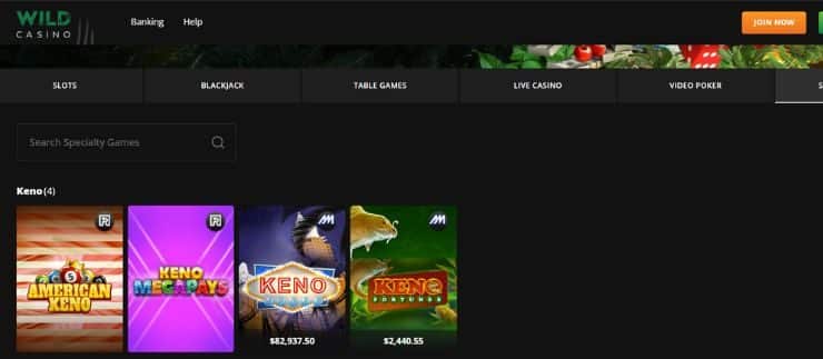 wild casino keno games