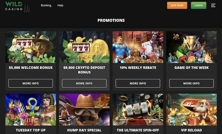Wild Casino homepage - The best Florida online gambling sites 