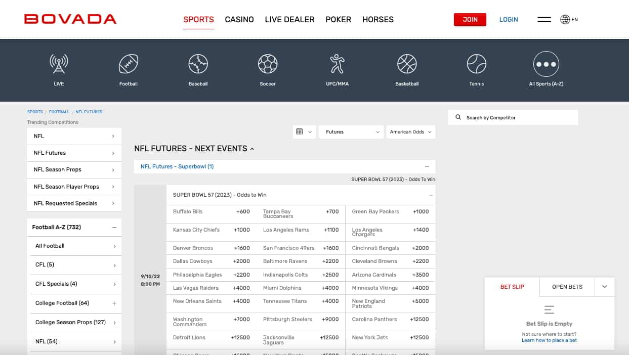 Bovada NFL futures Colorado