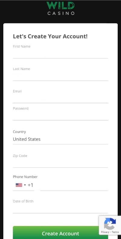 Download Wild Casino App Step 2
