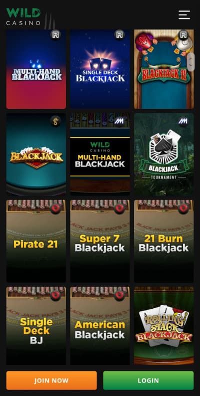 Download Wild Casino App Step 4