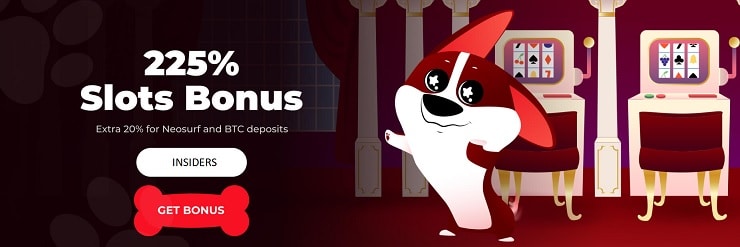Red Dog Casino- INSIDERS welcome bonus