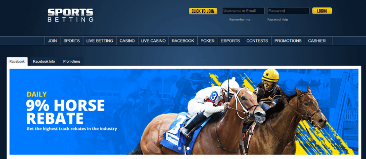 Sportsbetting horse racing homepage