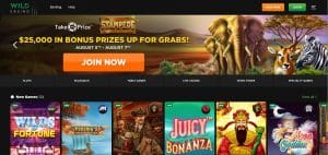Wild Casino Home Page for OK Gambling Sites
