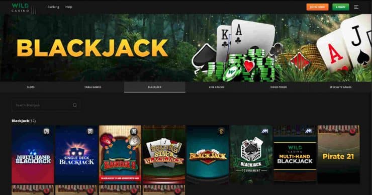 Wild Casino online game selection