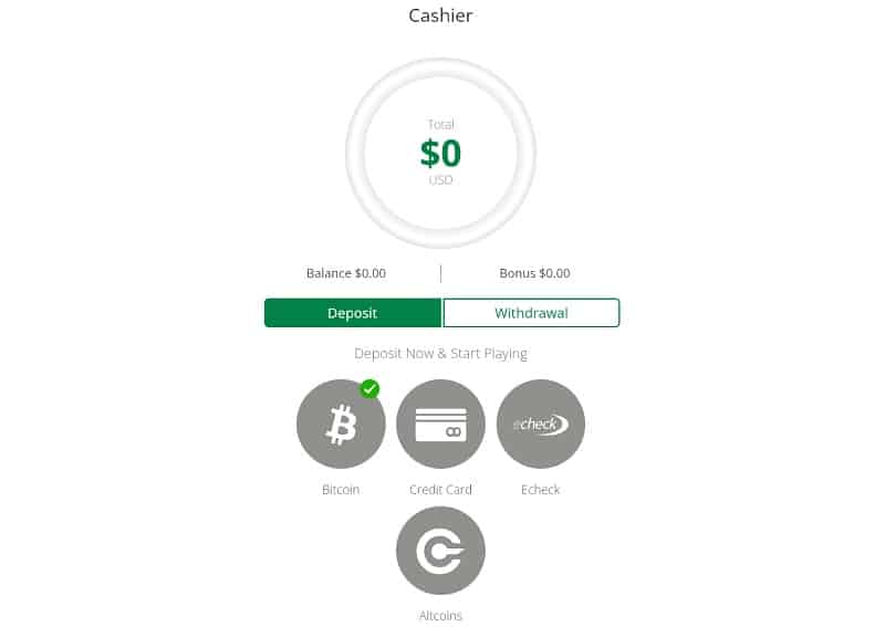 wild casino mobile site payment page