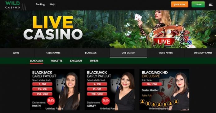 wild live casino