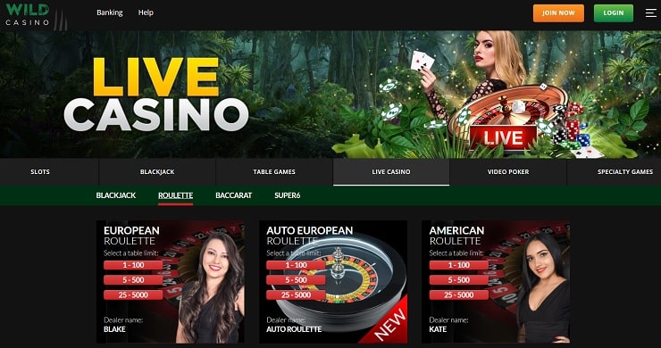 Wild Casino live casino