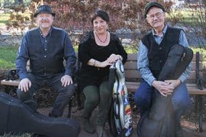 beverley street string band humpback