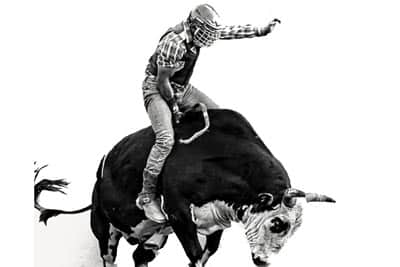 bull riding rodeo