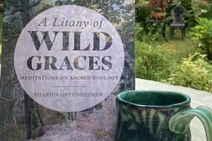 litany of wild graces