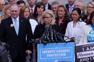 liz cheney