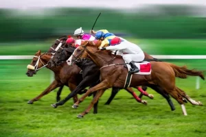 delaware horse racing