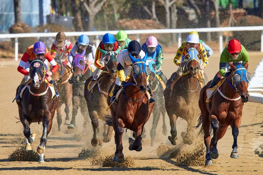 washington horse racing