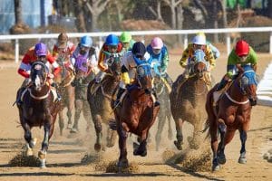 connecticut horse racing