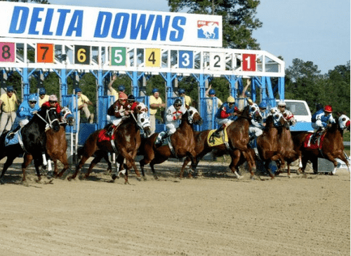 Horses leaving gate at Delta Downs
