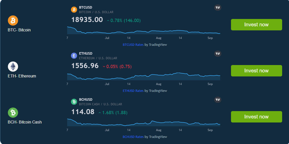 BitVestment Review