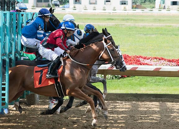 Horse racing in Ohio at JACK Thistledown