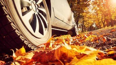fall foliage drive