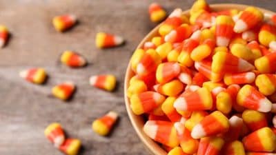 candy corn