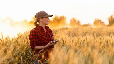 farmer in field