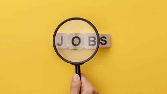 job search hiring resume business