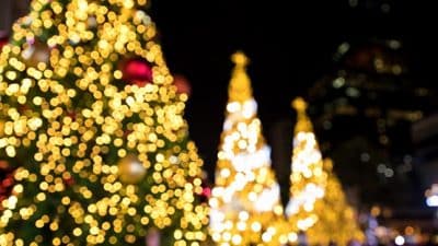 christmas tree