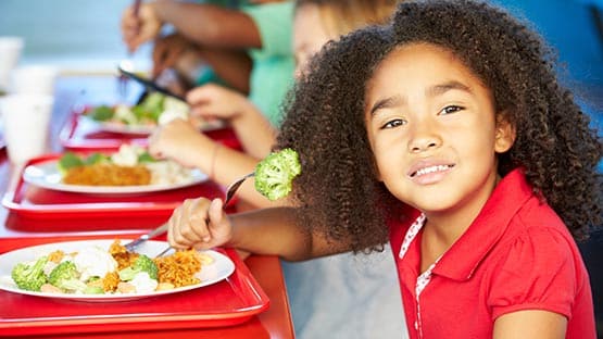 school lunch