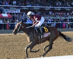 Bet On The Breeders Cup In NC | North Carolina Sports Betting Sites For Horse Racing