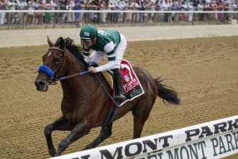 Bet On The Breeders Cup In NV | Nevada Sports Betting Sites For Horse Racing