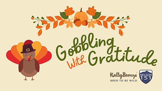 gobbling with gratitude