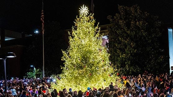 charlottesville tree lighting