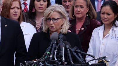 liz cheney