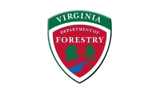 virginia department of forestry